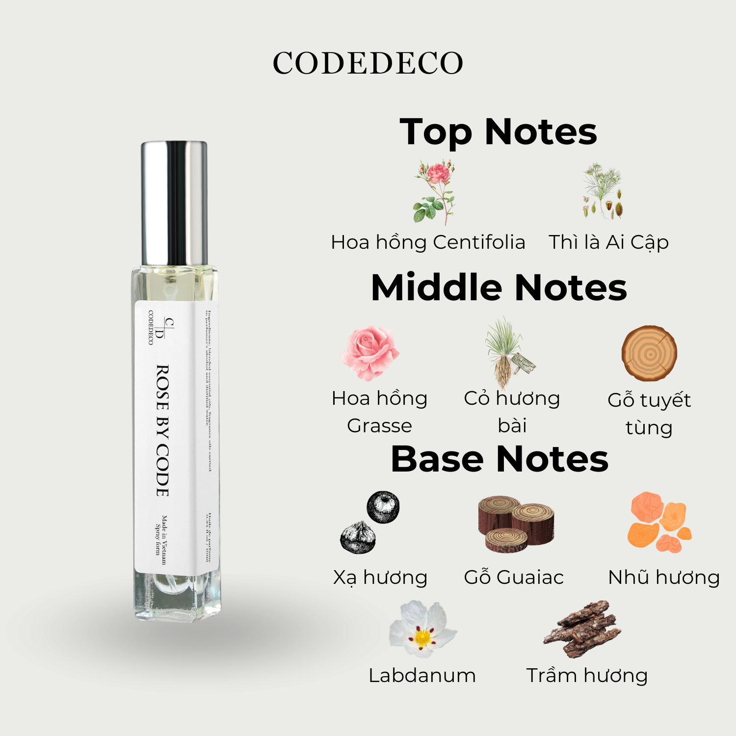 Rose by Code 10ml