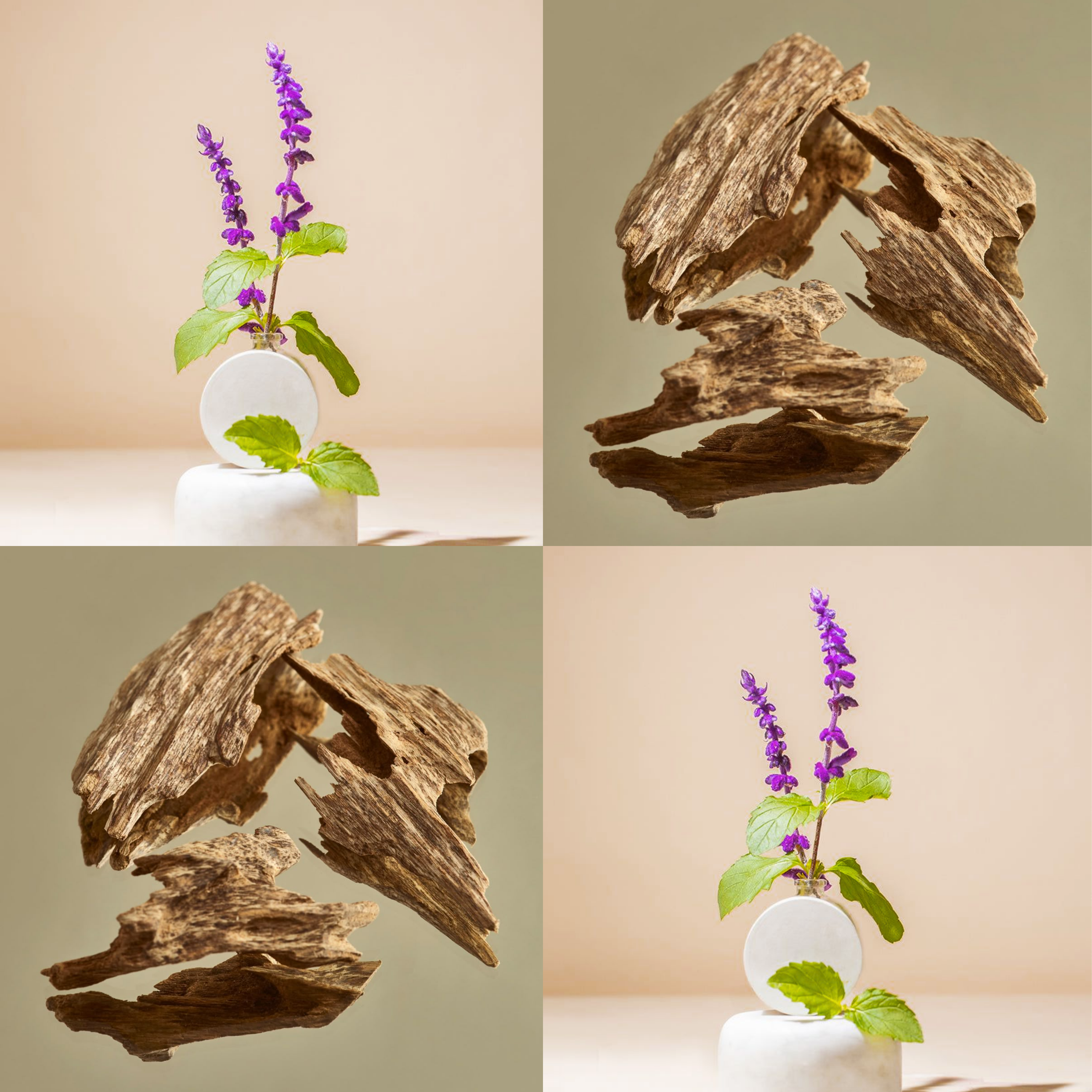 Thiết kế chưa có tên (1)